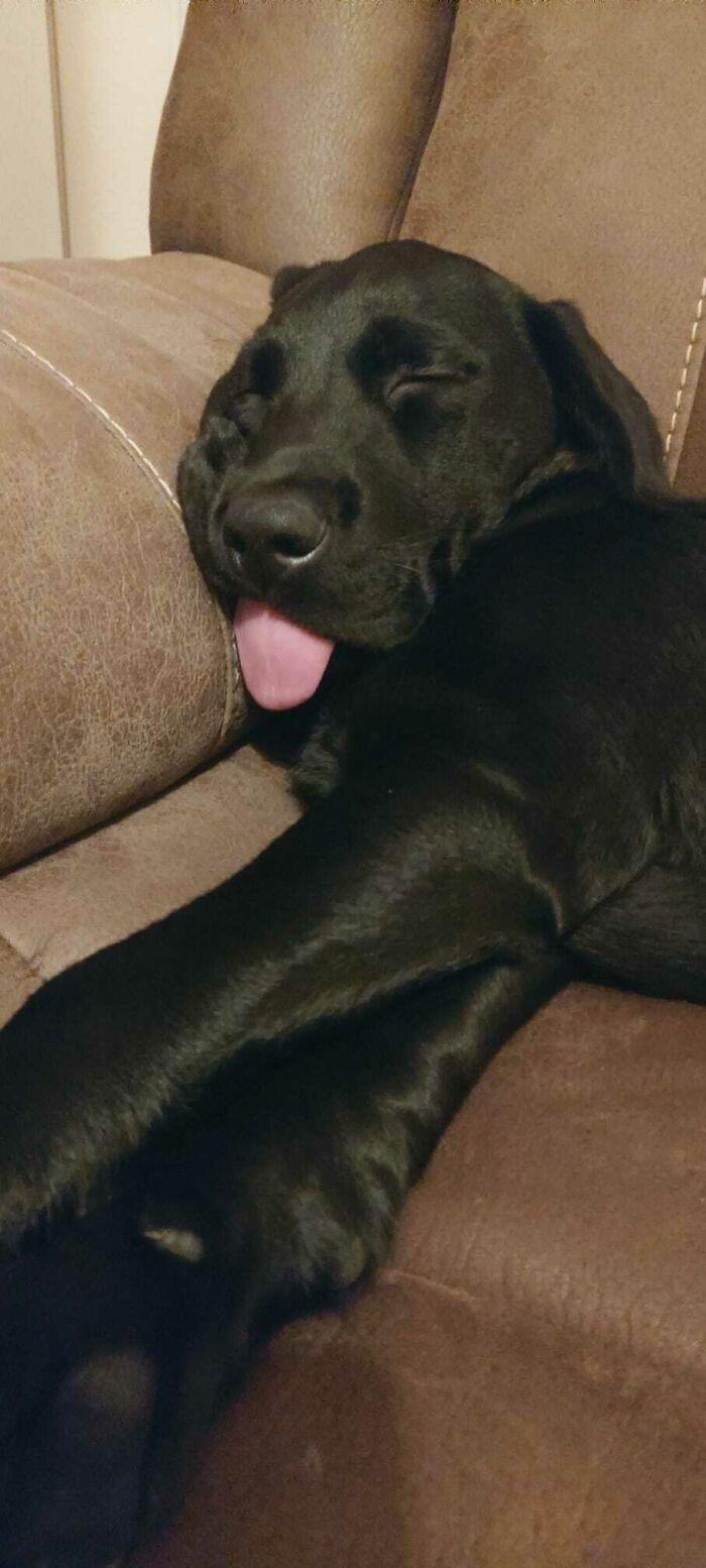 I Honestly Have No Words