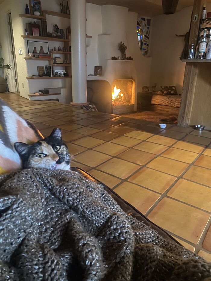 Who Dares Disturb My Slumber?