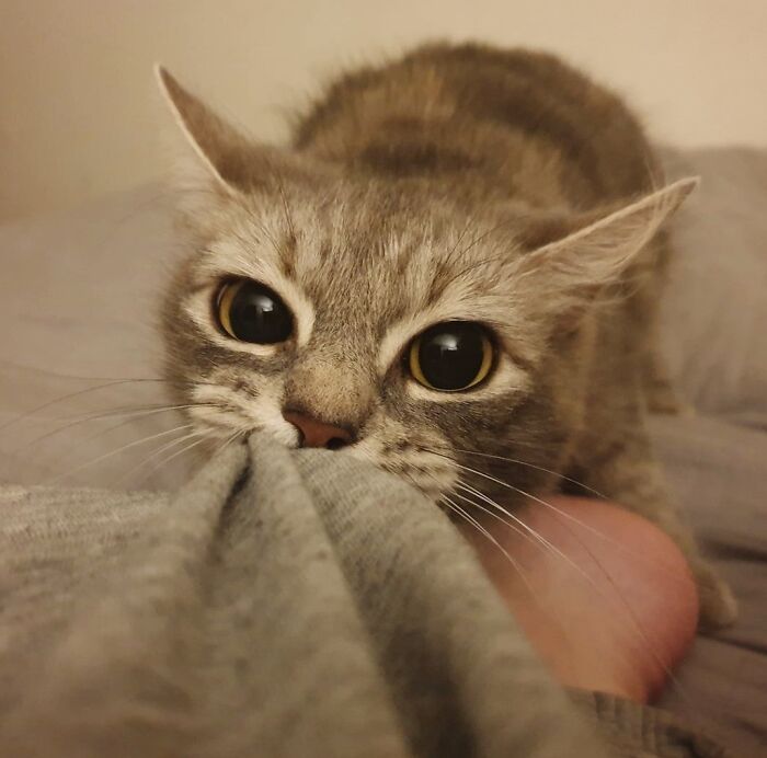 If Im Up., Your Up!!