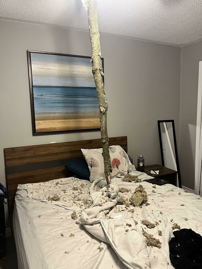 My Dad’s Tenants Sent This Pic During Yesterday’s Winter Storm… Just Before They Got Into Bed