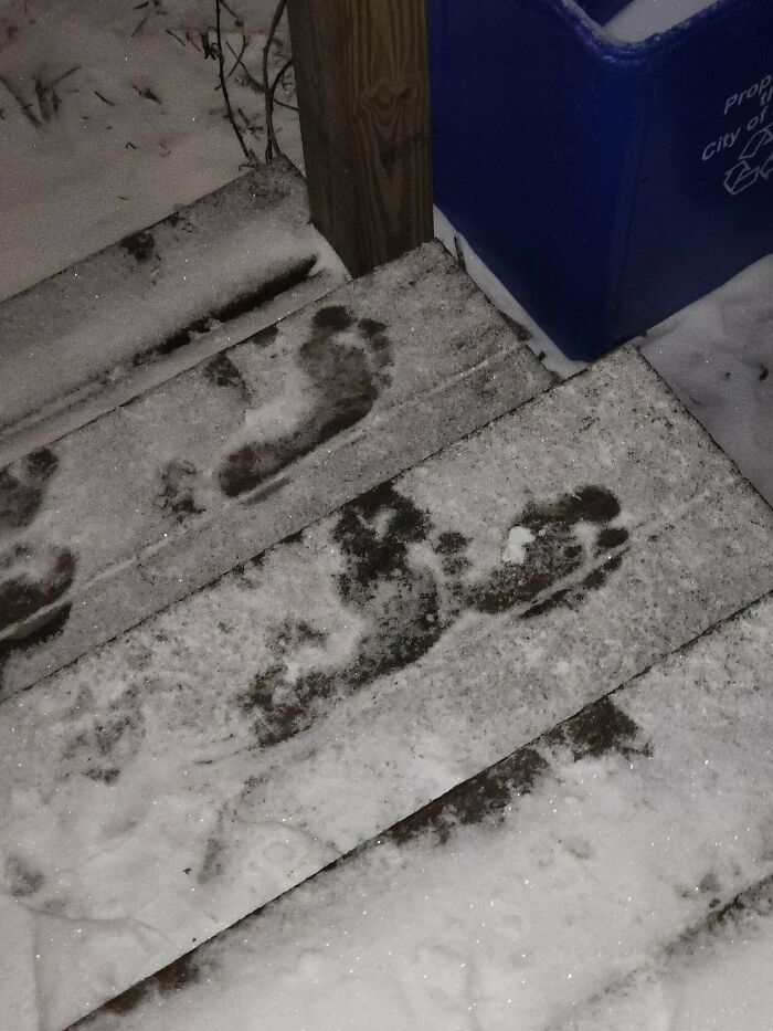 I Was Taking Out The Trash This Morning And Found Bare Footprints