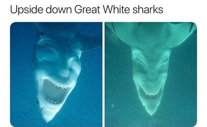 Teeth Are A Nice Little Detail Too