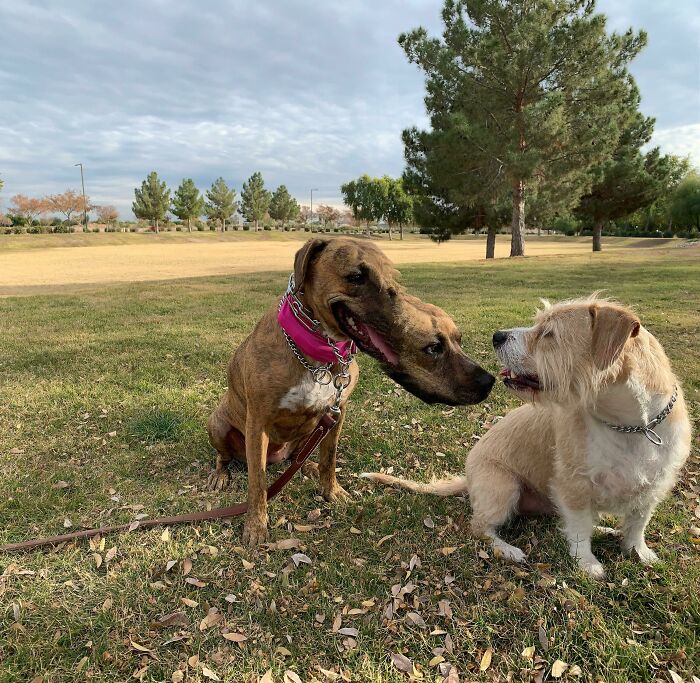 This Picture Straight Up Broke Me. I Spent 20 Minutes Straight Crying Laughing