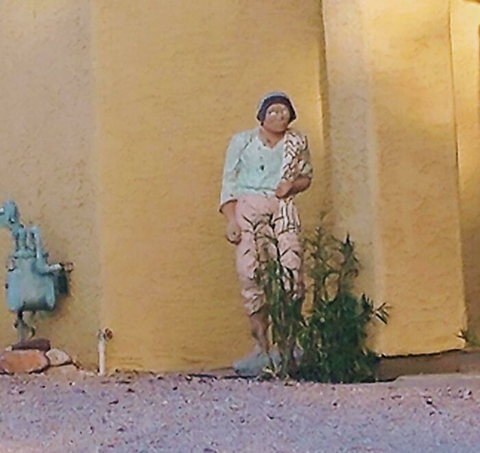 I Thought A Person Was Glaring At Me Outside This House