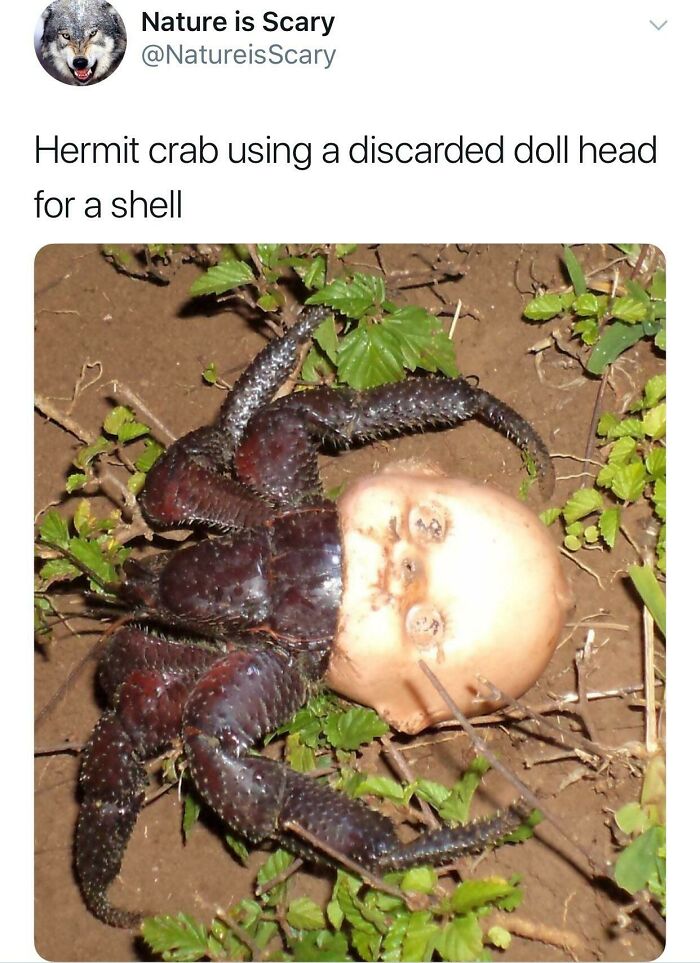 This Will Haunt My Dreams