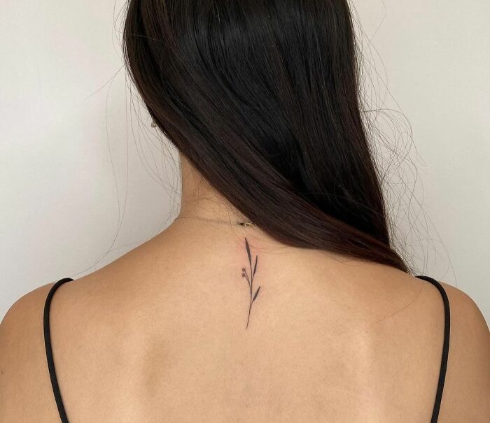 Minimal tattoo design of a delicate branch on a woman's upper back, sleek and understated.