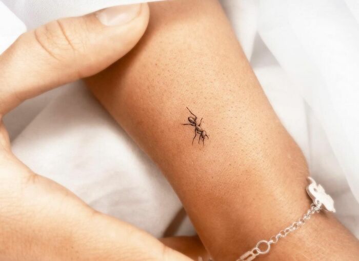 Minimal tattoo design of a small ant on an arm, showcasing intricate detail and simplicity.