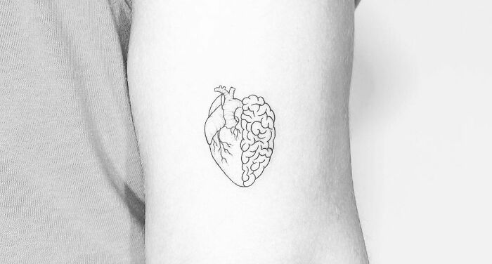 Minimal tattoo design of a heart and brain fusion on an upper arm, showcasing intricate line work.
