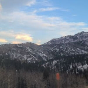 the_kingreezy96 avatar