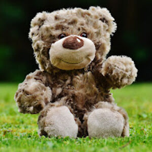 elizabethdavy avatar