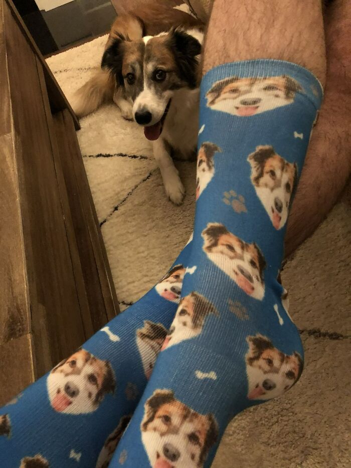 When Your Wife Loves The Dog More Than You, This Is Your Valentine's Gift