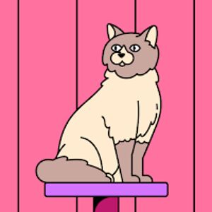 zacharygreenhalgh avatar