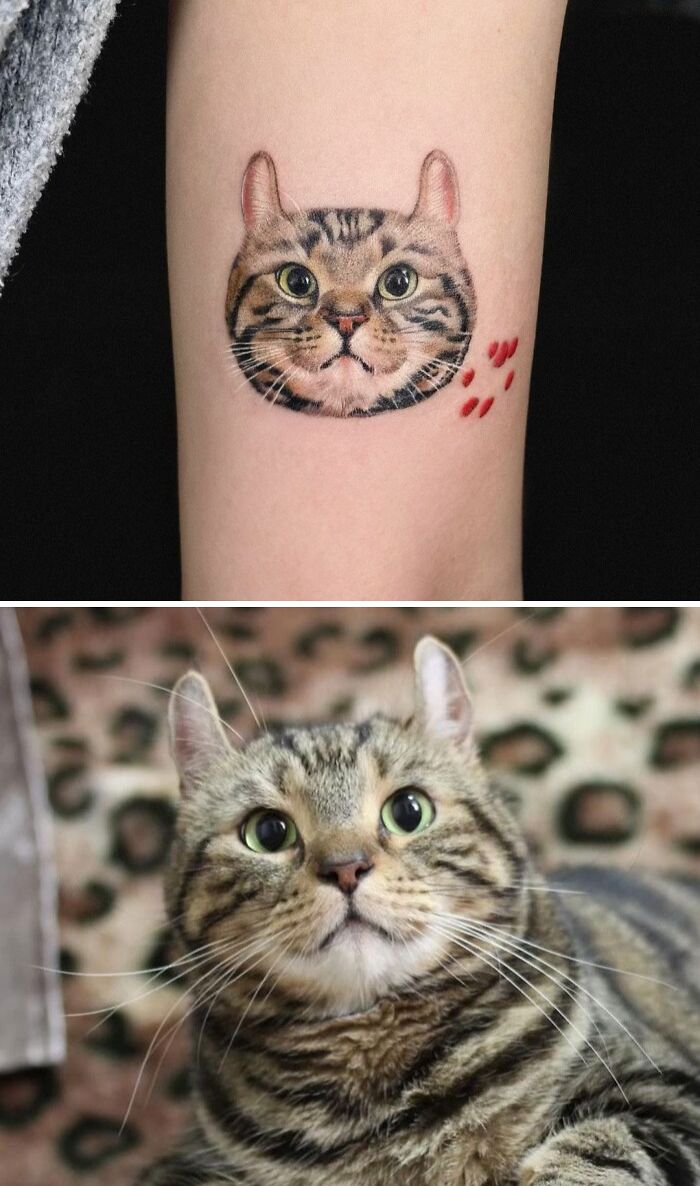 Cat tattoo featuring realistic detail beside the real pet, showcasing adorable pet tattoos.
