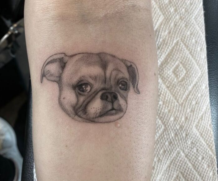 Adorable pet tattoo of a dog's face, capturing a lifelike expression on the forearm, showcasing pet love.