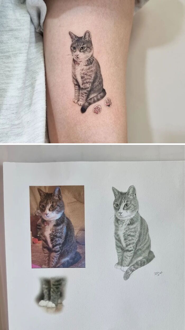 Pet tattoo of a cat on an arm, surrounded by reference photos and sketches.