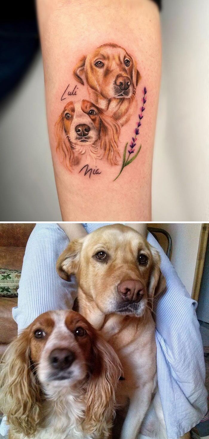 Pet tattoo of two dogs with realistic detail, showing a Labrador and a Cocker Spaniel.