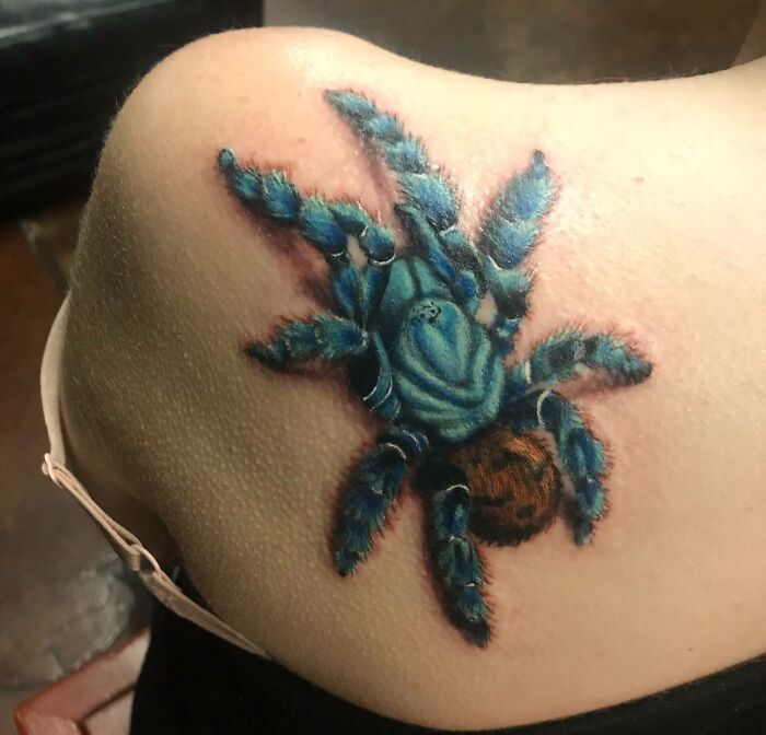 Blue tarantula tattoo on a shoulder, symbolizing the bond with a beloved pet.