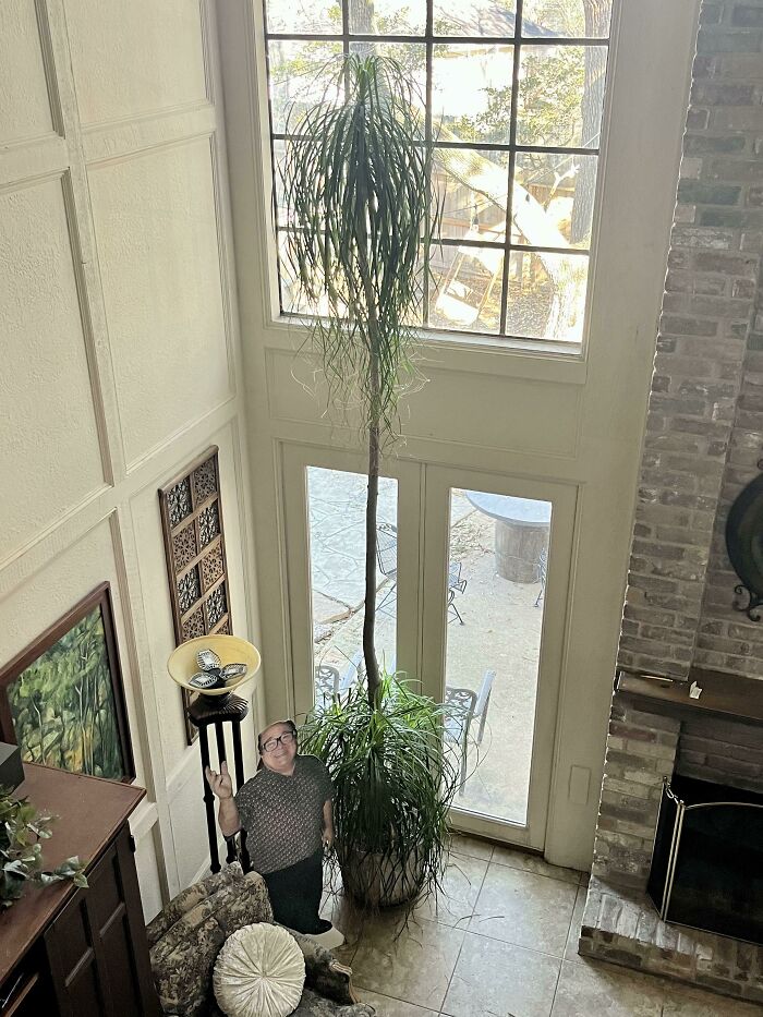 Danny Devito For Scale