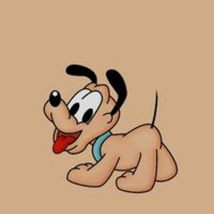 andrea_zaborska avatar