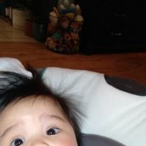 berntmayewing avatar