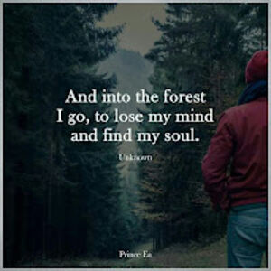 elizabethweiss avatar