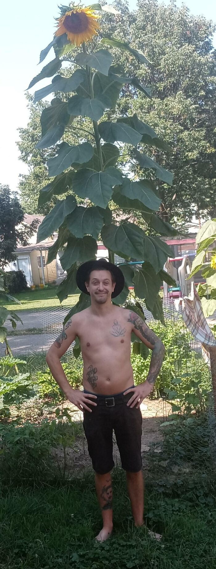 Grew This Beautiful Giant From A Seed. Absolutely Thrilled. This Is By Far My Pride And Joy