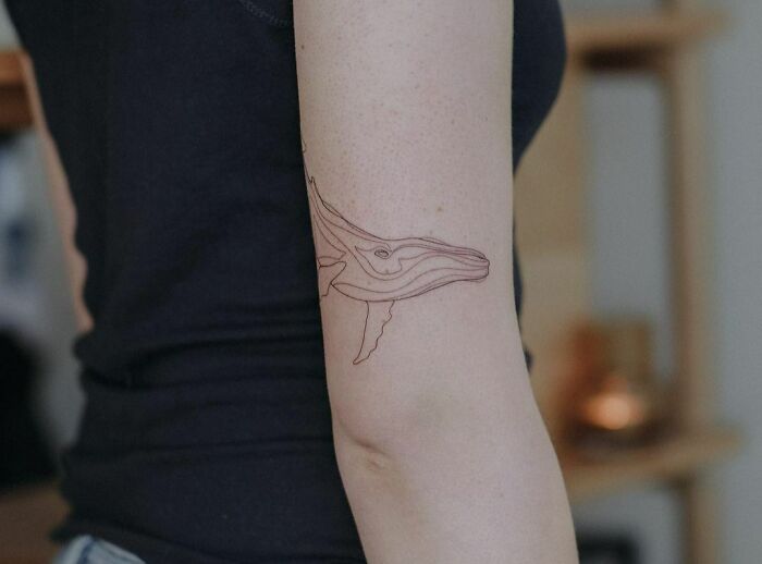 Fine-line whale tattoo on a person's arm, showcasing single-line tattoo artistry.
