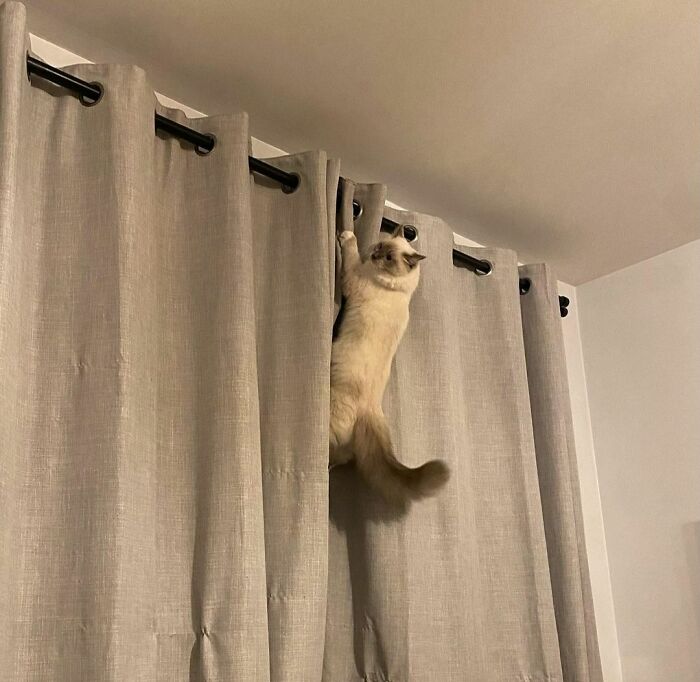 No Mission Is Impossible!