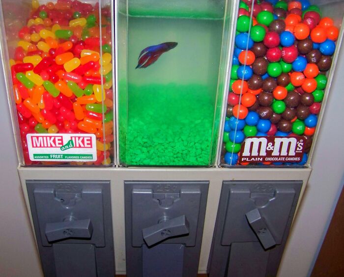 Vending Machine - Fish Tank Combo