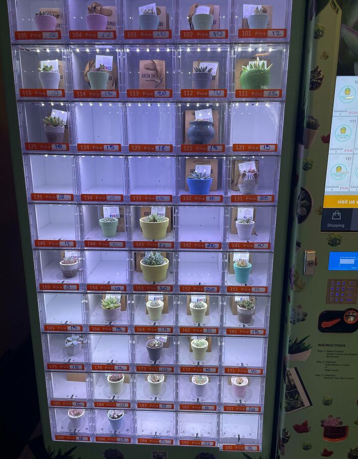 Succulent Vending Machine In A Nearby Mall
