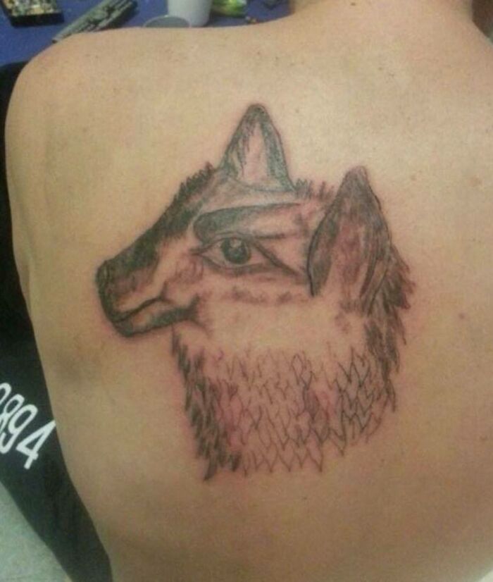 Funny tattoo of a llama or wolf on a person's back, showcasing humorous artwork.