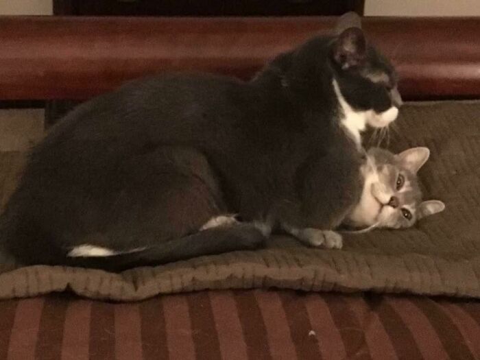 Eddie Is Showing His Love To Gabby