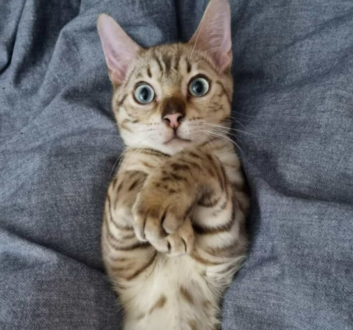 Oliver Is Just Too Cute!