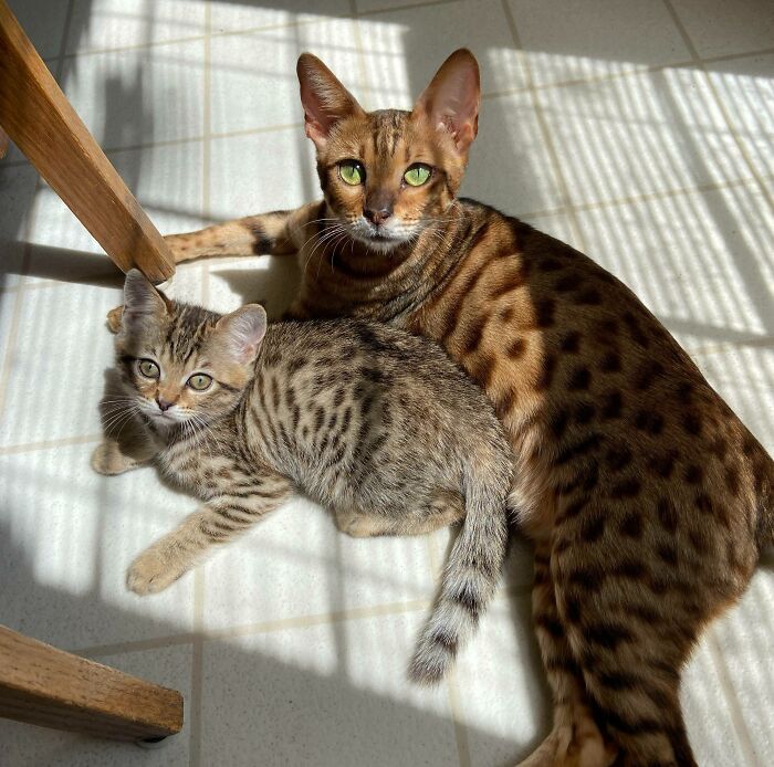 Mama And Baby Enjoying A Little Rest