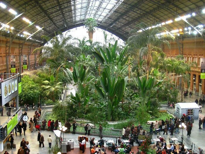 Atocha Tropical Garden In Madrid, Spain. The Building Once Was The Old Train Station Before The Transportation Hub Was Expanded To Include Its High-Speed Train Links