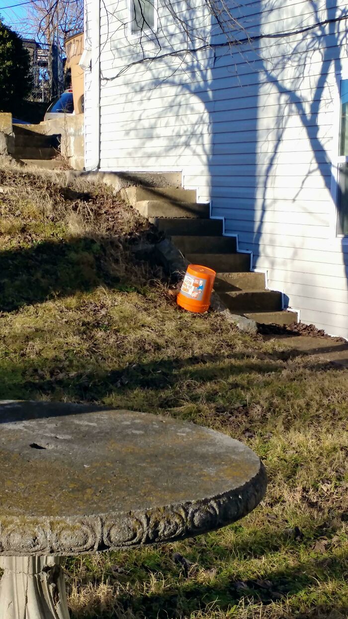 Landlord Been Paying The Fine For This For 10 Years