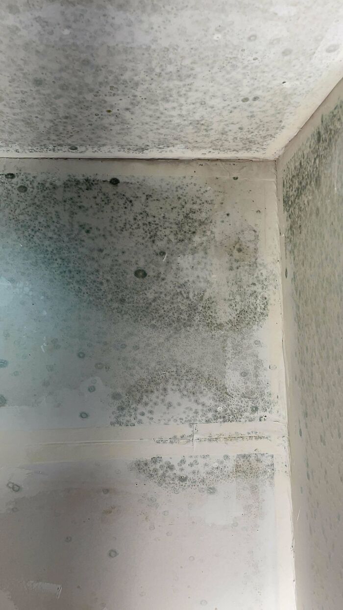 Drywalled Mechanical Room? In A Crawlspace With No Moisture Barrier… And It Rained With No Roof