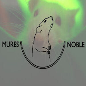 lenkaseberova avatar