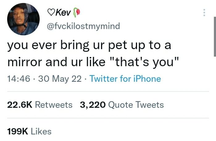 That's When You Know They Have Lost It