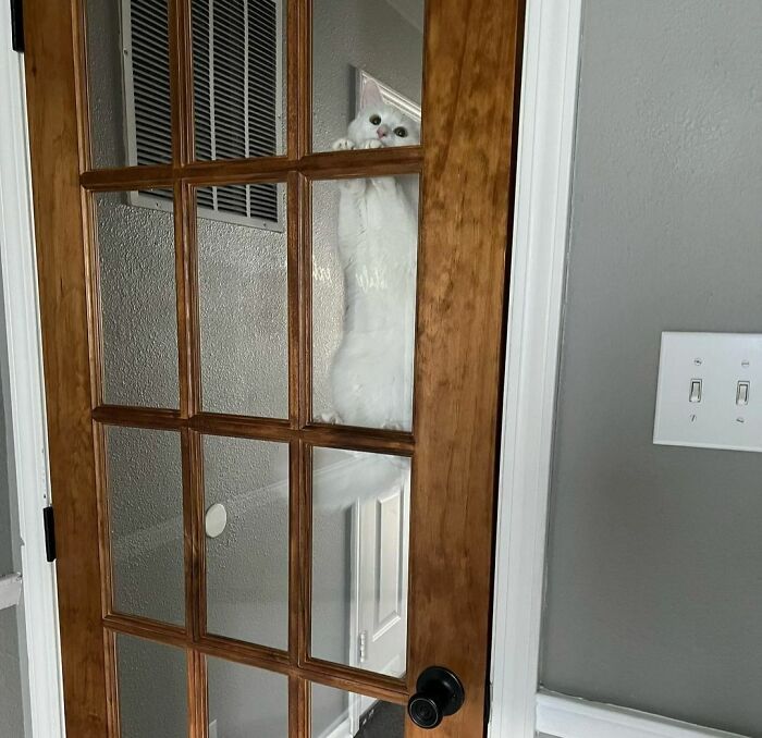 Mom Let Me In! I Miss You! I Need To Practice Yoga With You