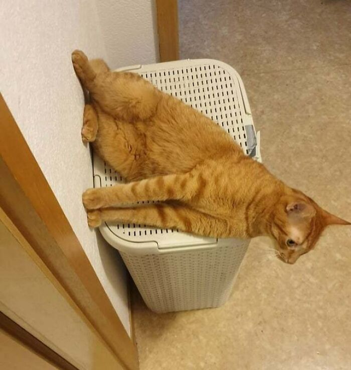 He's Sitting On The Wall