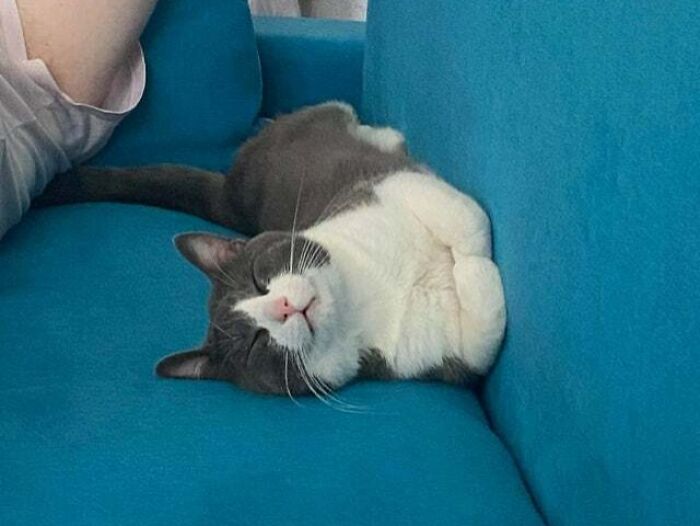 That’s Not How You’re Supposed To Sleep