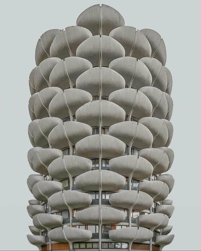 The Cabbages. Paris, France