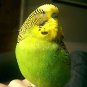 clairewright_1 avatar