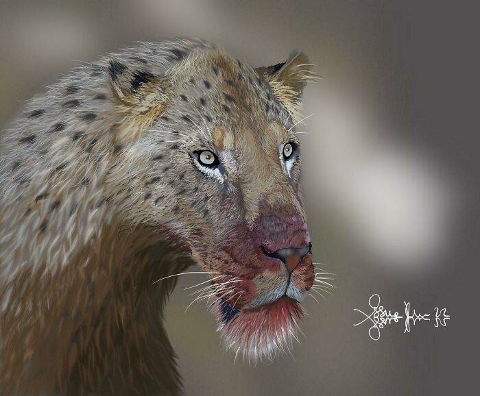 Megantereon-The Ancestor Of Smilodon