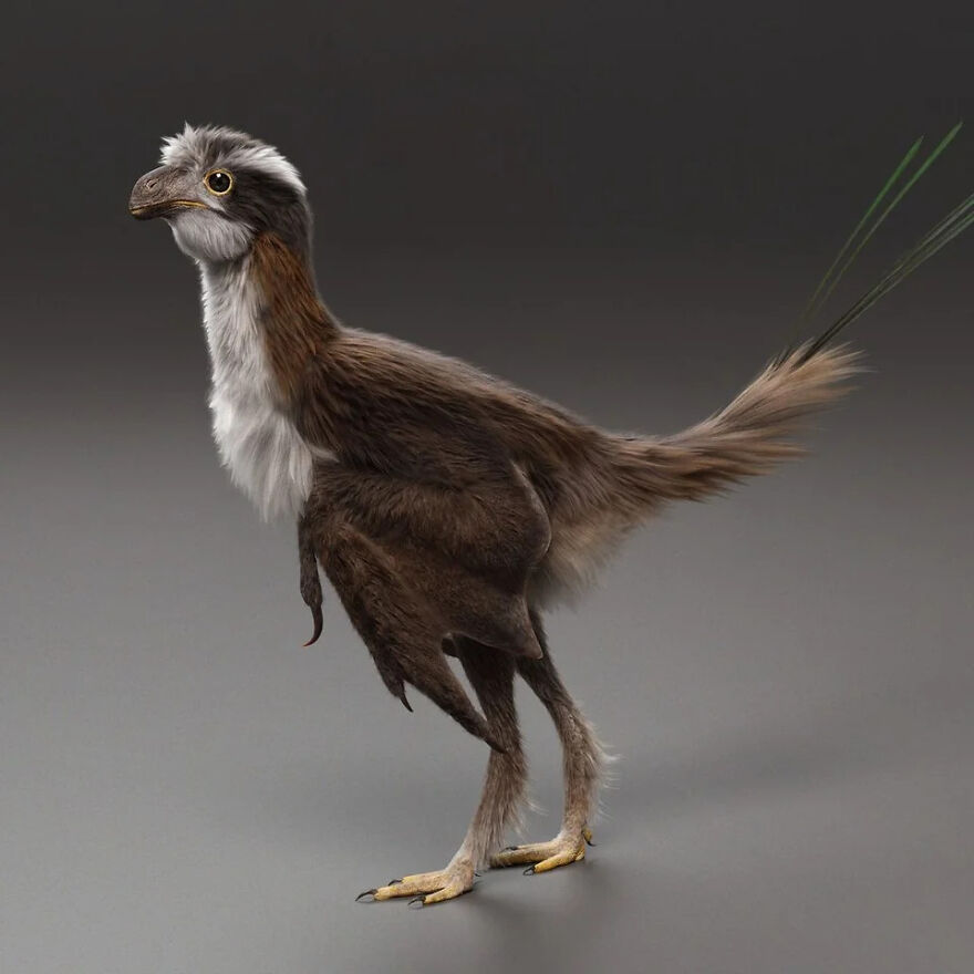 Birds Could Have Been A Lot Weirder. During The Early Days Of Dinosaur Flight, Evolution Experimented With Some Strange Wing Designs. Scansoriopterygids Such As Yi Qi (Literally "Strange Wing") Were Small Feathered Dinosaurs Closely Related To Birds But With Membranous Wings Like Bats