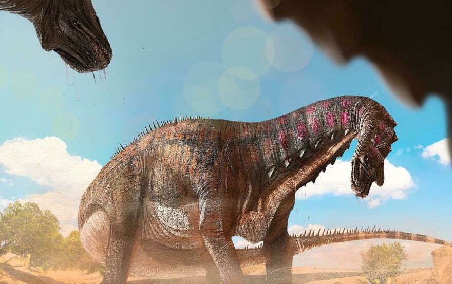 &ldquo;Brontosaurus&rdquo; Duel By Me, Sauriansketches On Ig. Based On 2015 Version. Basically Apatosaurus With A Different Name Lol