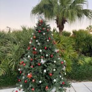 willisritalynne avatar