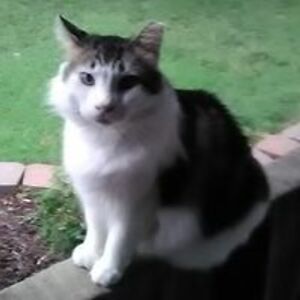 lloyd_andrews avatar