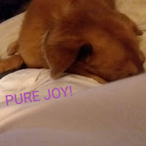 deborahtheband avatar